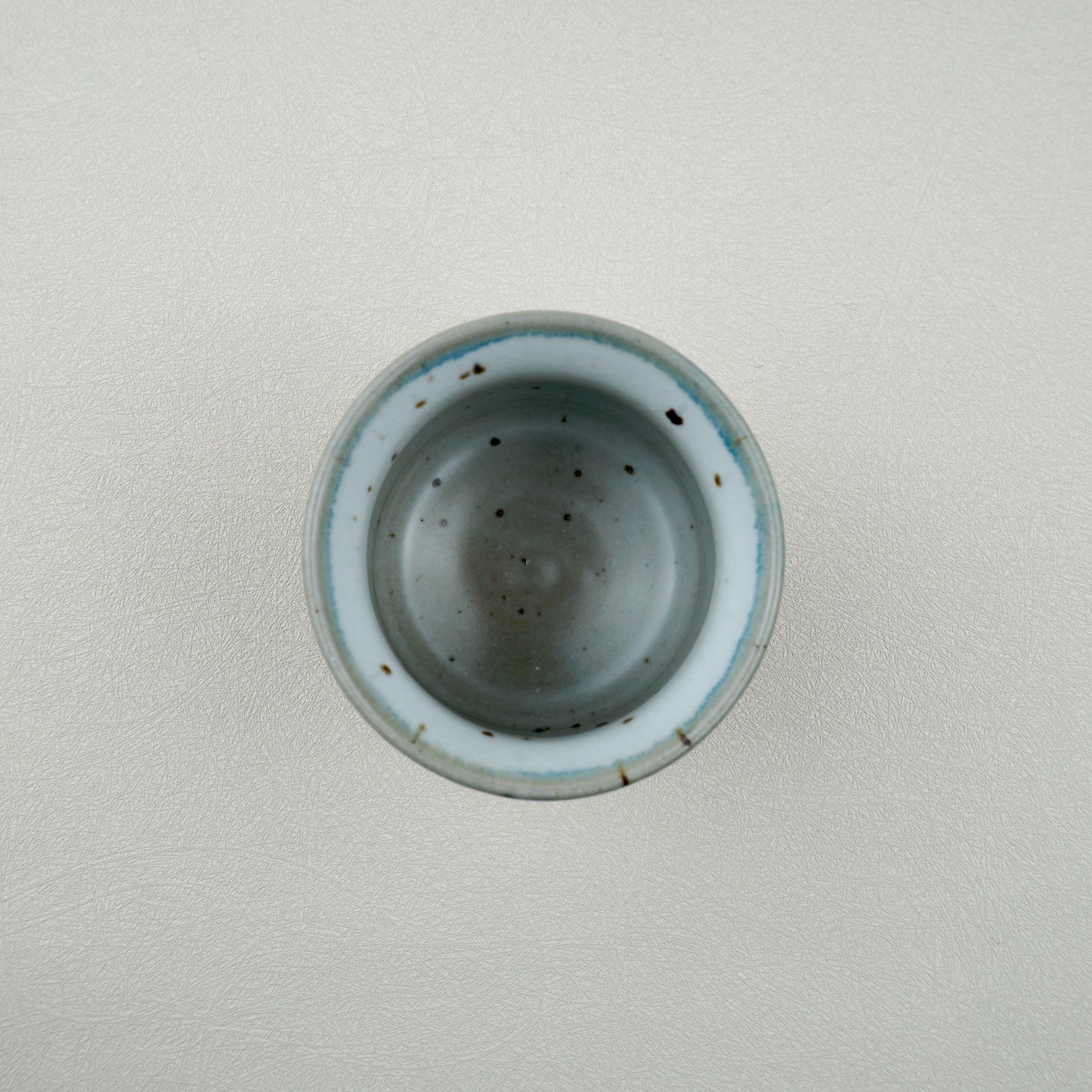 Soft Blue Gaiwan Lidded Tea Cup