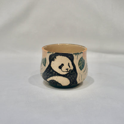 Panda Hydrangea Round Cup Small