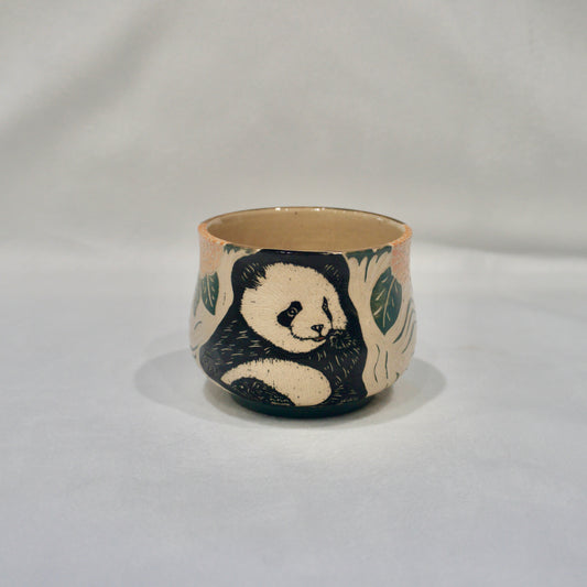 Panda Hydrangea Round Cup Small